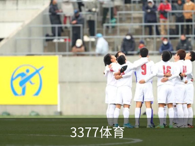 3377体育简介